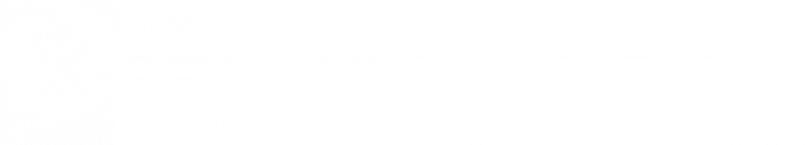 digi-access_logo-weiss digi-access_logo-weiss