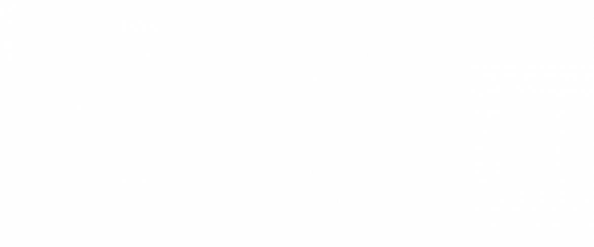 muensterland muensterland